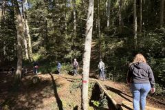 IMG_0046